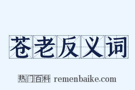 苍老反义词是什么意思的图片